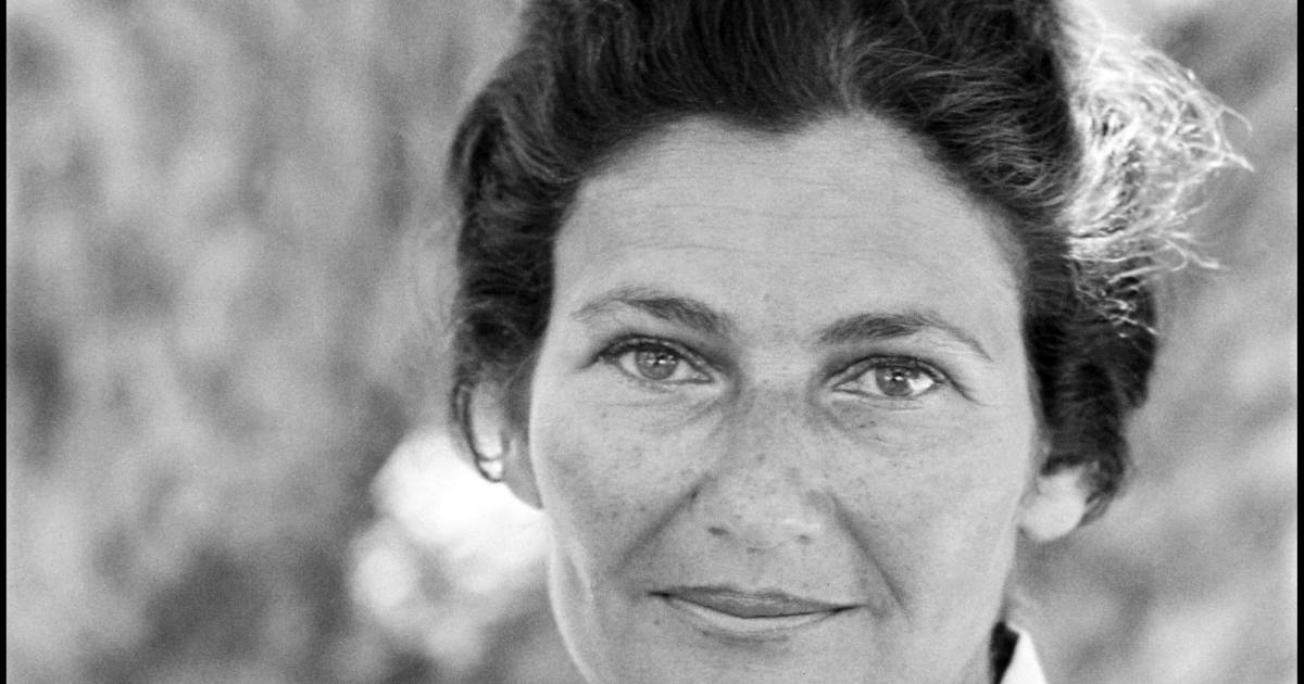 Lettre de Simone Veil