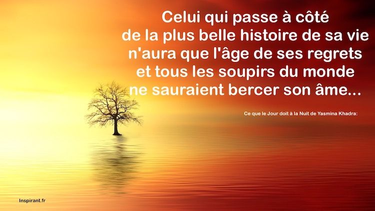 Les Meilleures Citations Qui Donnent A Reflechir Celui Qui Passe A Cote De La Plus Belle Histoire De Sa Vie