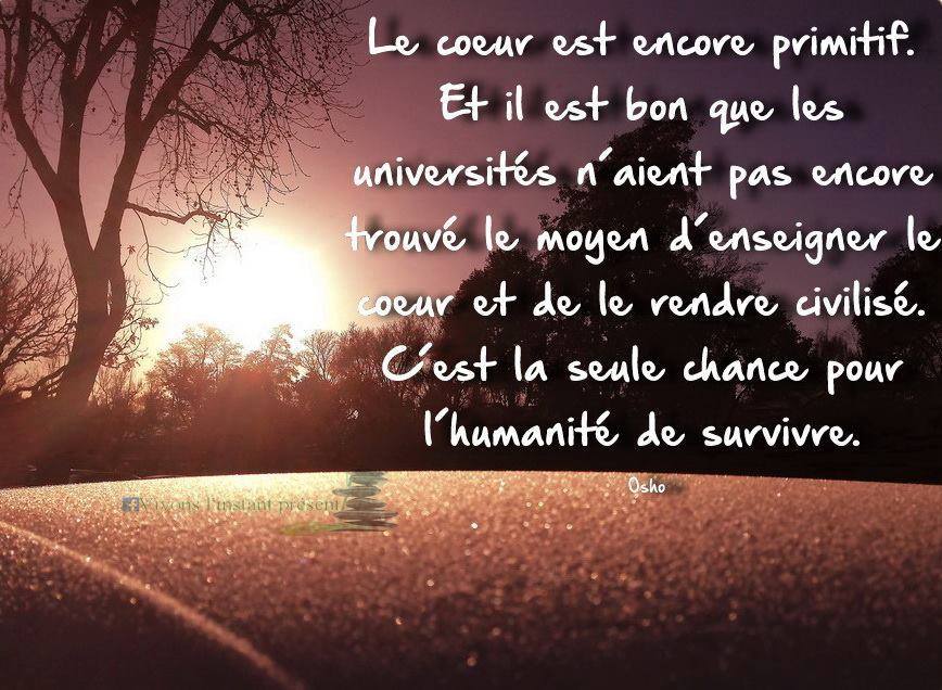11 Citations De Osho Rajneesh La Premi re Chose Que Vous Devez Faire 