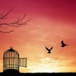 OISEAU EN CAGE CHANTE