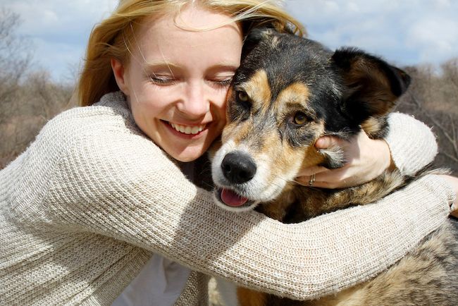 chiens vivent moins longtemps