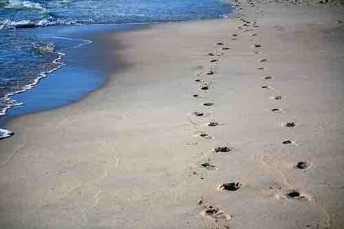 traces dans le sable